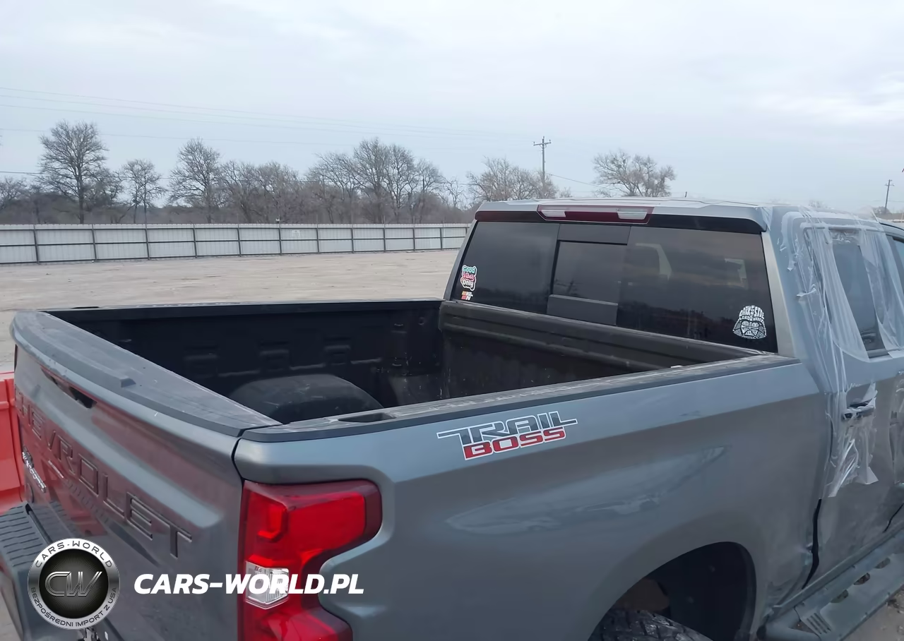 2020 Chevrolet Silverado 1500 4Wd Short Bed Lt Trail Boss VIN:3GCPYFED5LG419158 - 19
