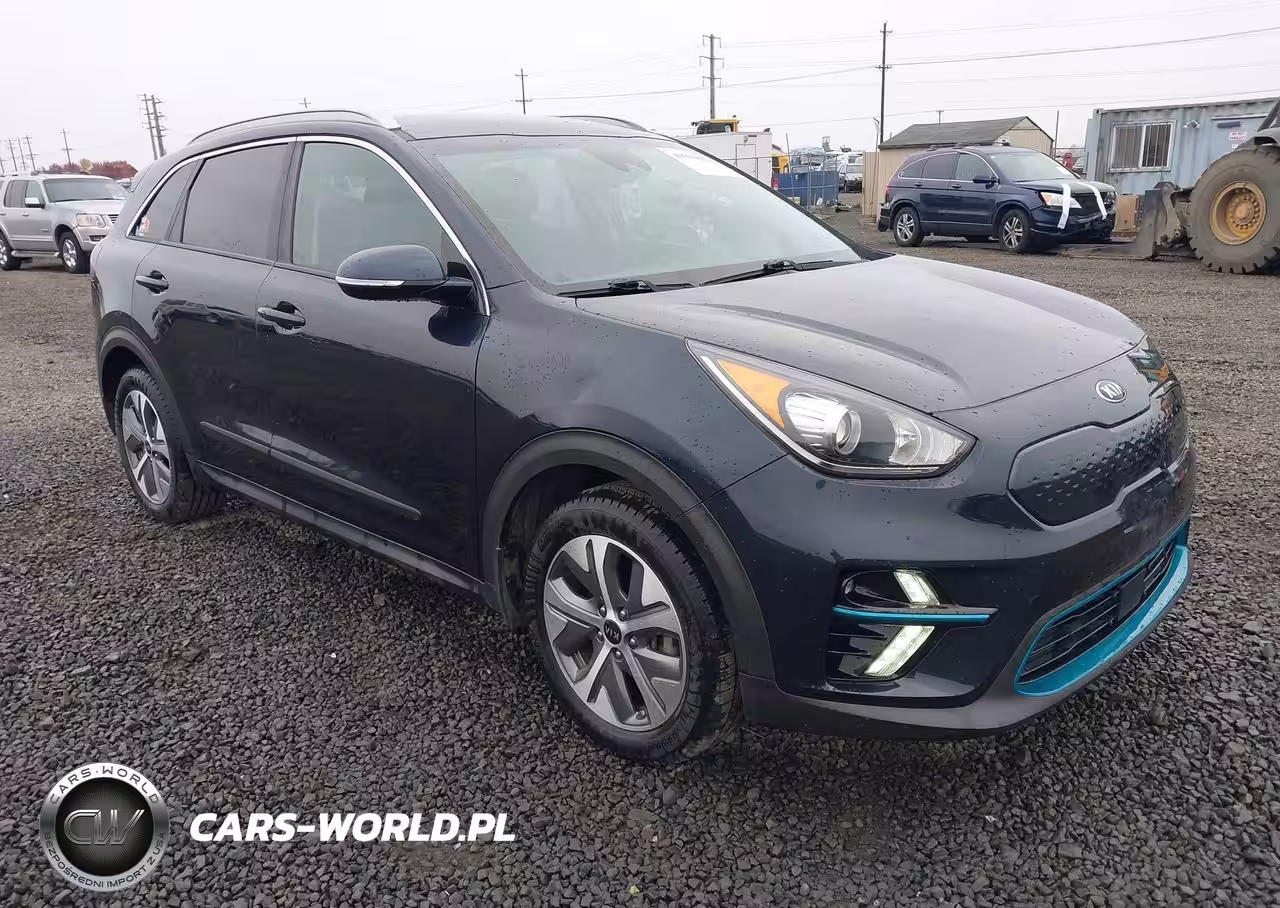2019 Kia Niro Ev Ex