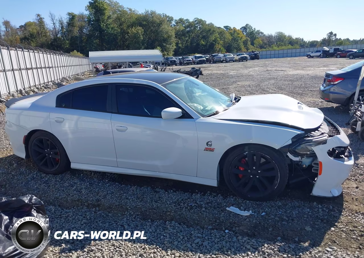 2016 Dodge Charger R-T Scat Pack VIN:2C3CDXGJ3GH132897 - 13