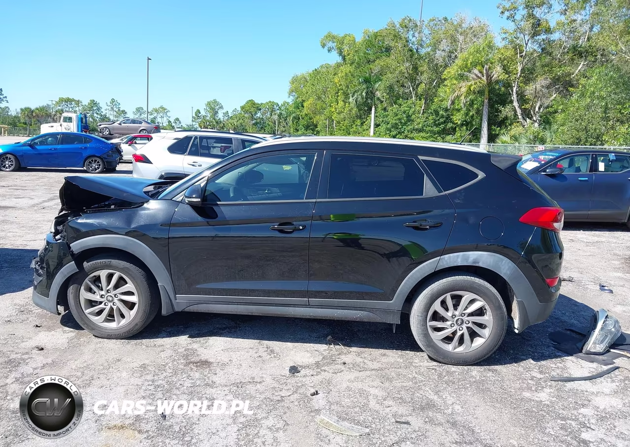 2016 Hyundai Tucson Eco VIN:KM8J33A23GU133945 - 15