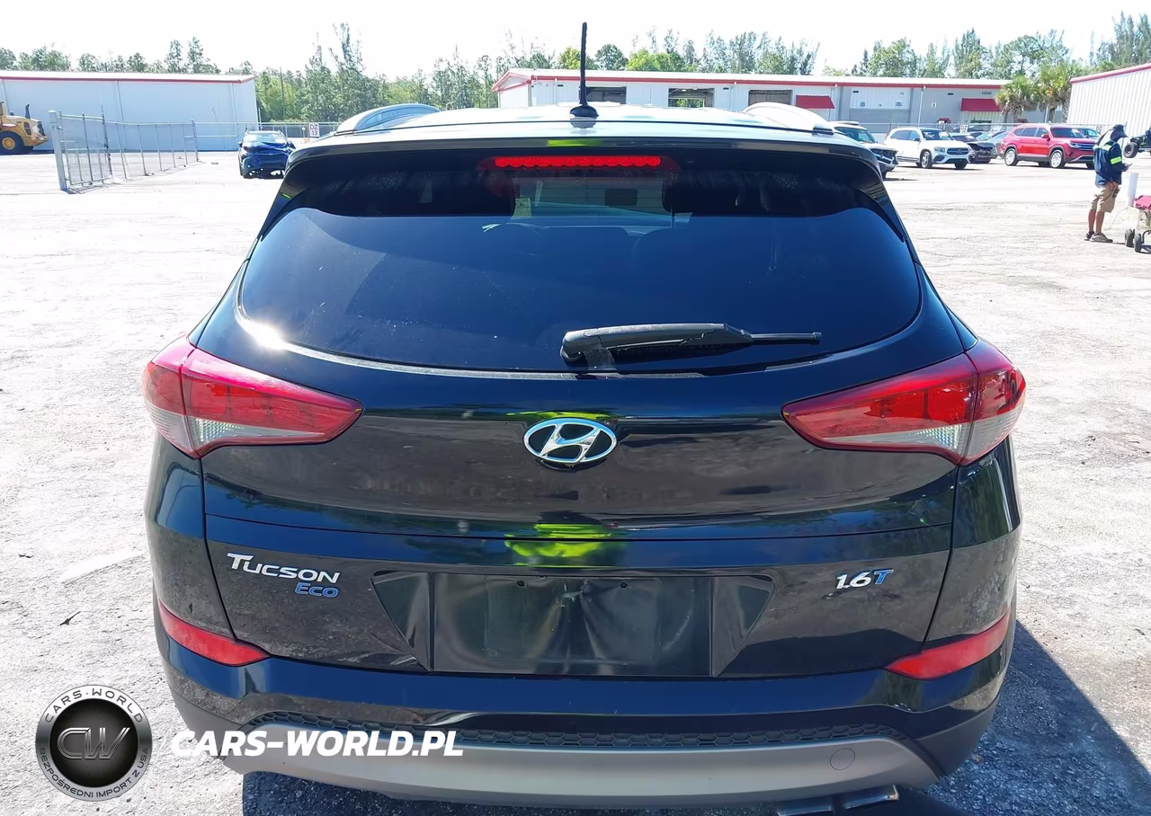 2016 Hyundai Tucson Eco VIN:KM8J33A23GU133945 - 17