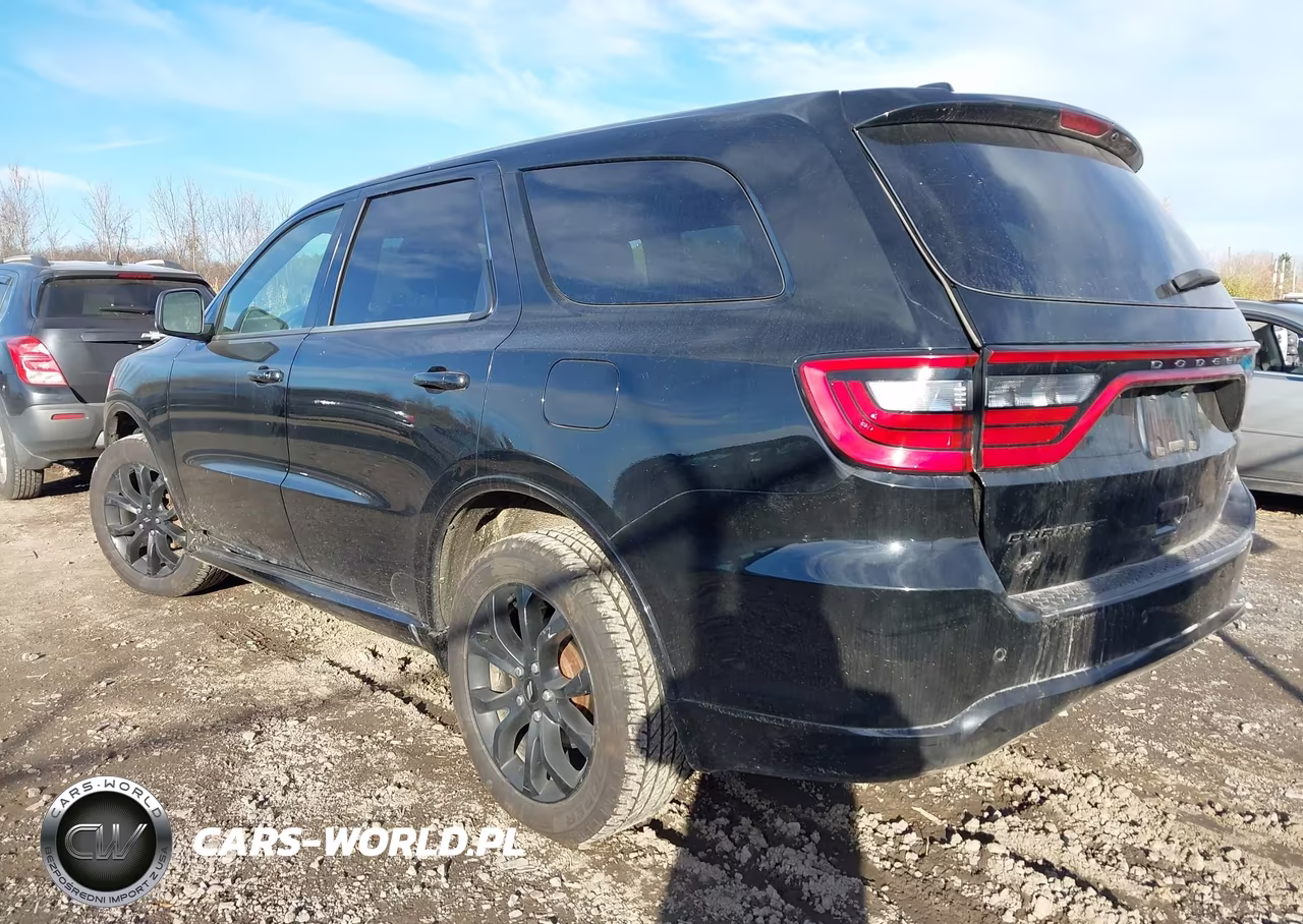 2019 Dodge Durango Gt VIN:1C4RDJDGXKC705477 - 3