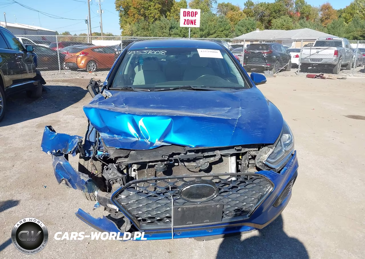 2019 Hyundai Sonata Sel VIN:5NPE34AF6KH784665 - 12