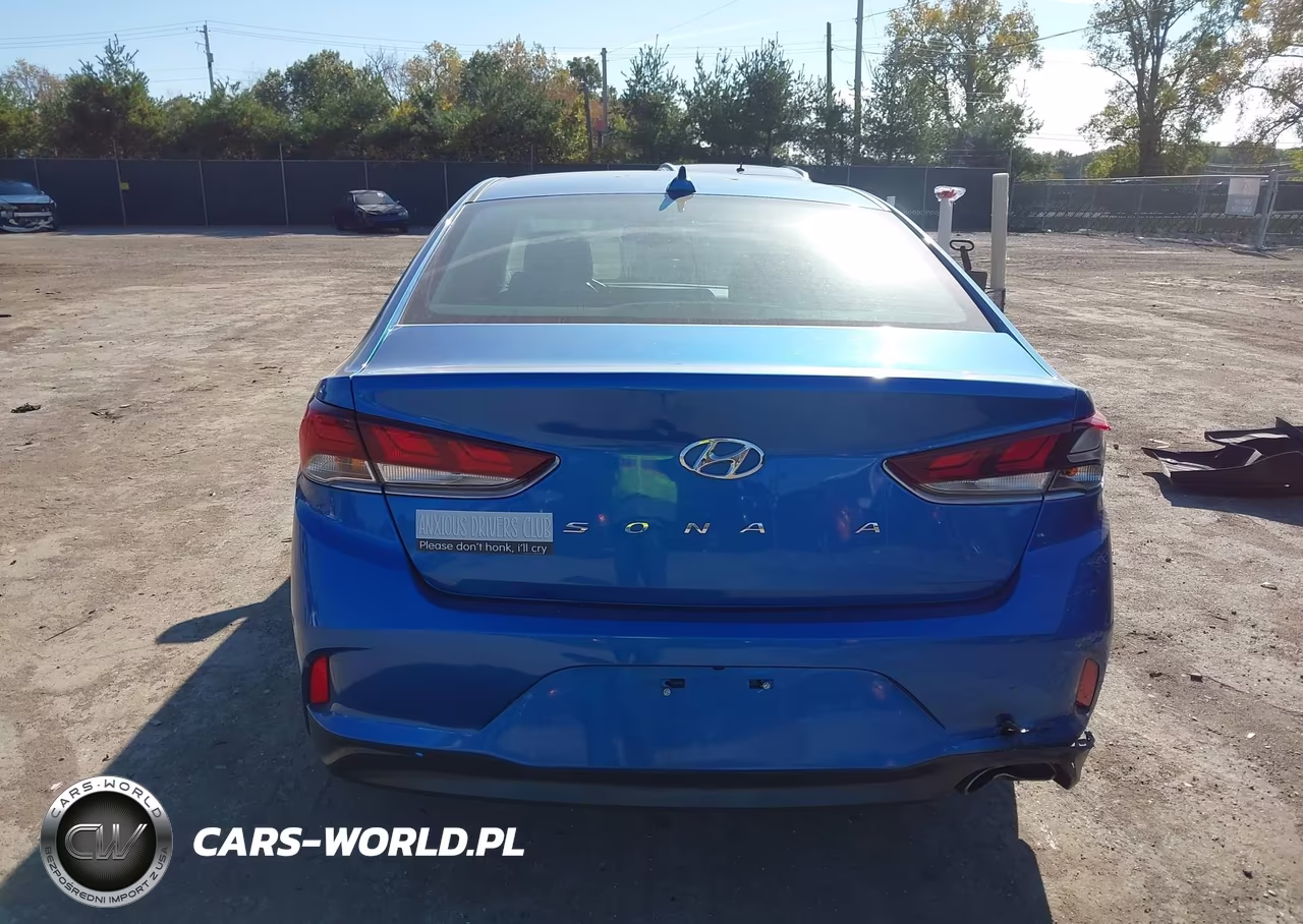 2019 Hyundai Sonata Sel VIN:5NPE34AF6KH784665 - 16
