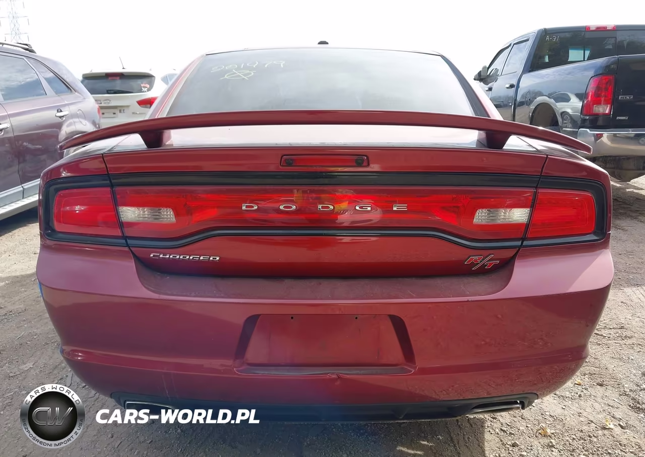 2014 Dodge Charger R-T 100Th Anniversary VIN:2C3CDXCT8EH221479 - 16