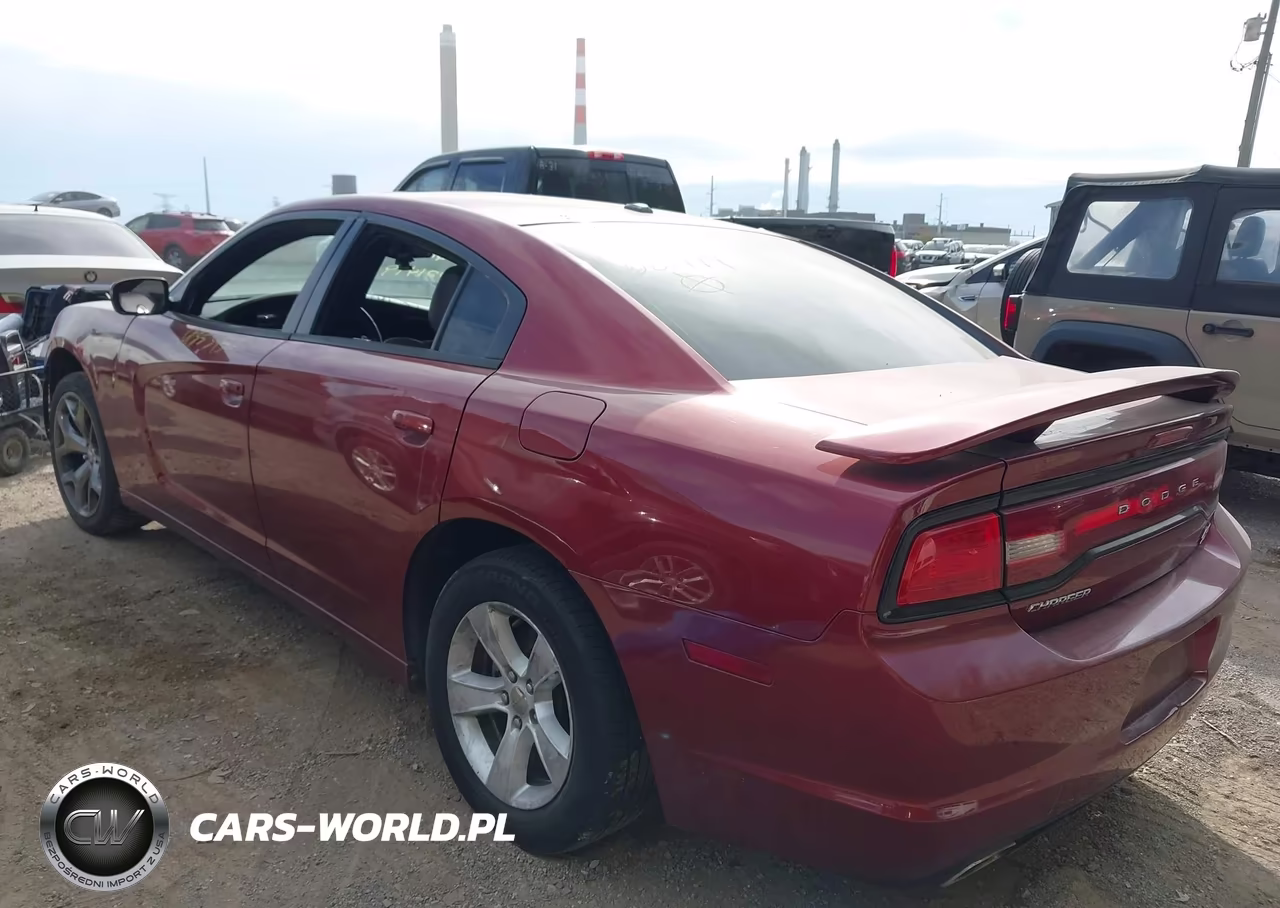 2014 Dodge Charger R-T 100Th Anniversary VIN:2C3CDXCT8EH221479 - 3