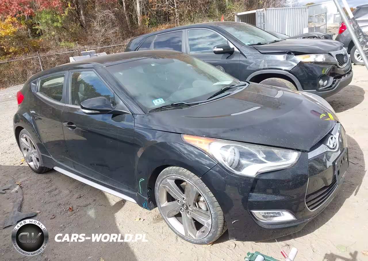 2013 Hyundai Veloster Turbo W-Black