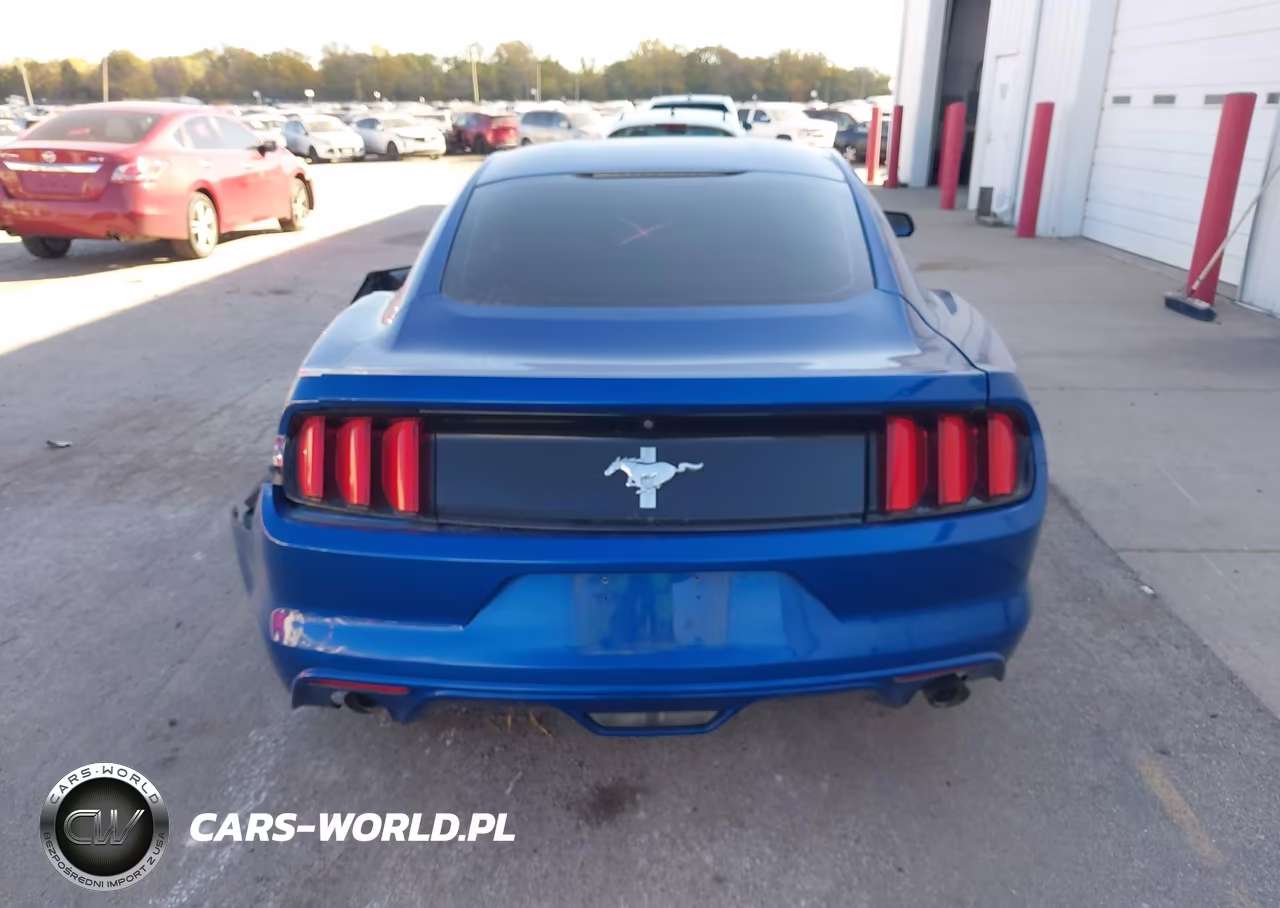 2017 Ford Mustang V6 VIN:1FA6P8AM0H5226629 - 16