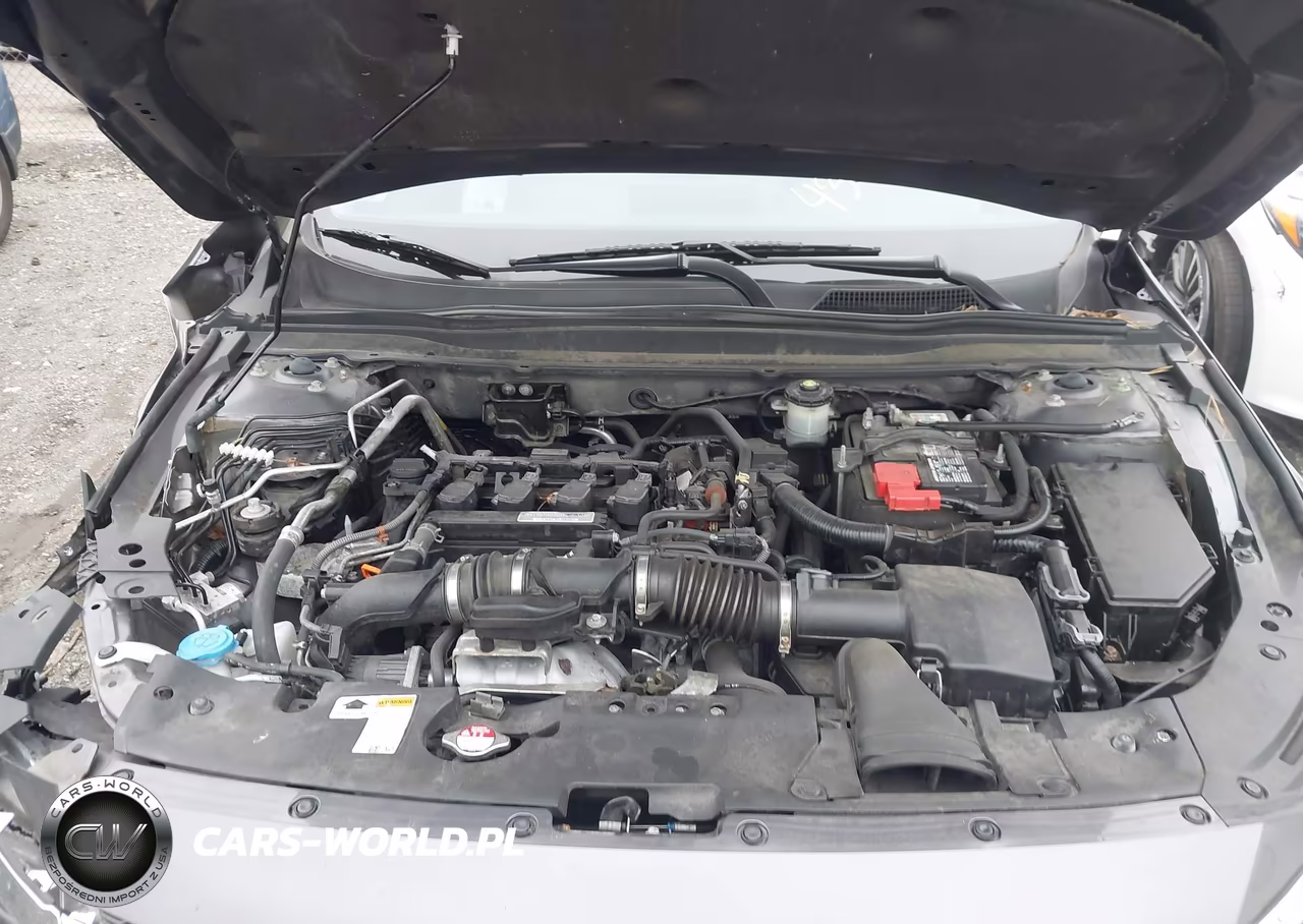 2019 Honda Accord Lx VIN:1HGCV1F14KA138854 - 10
