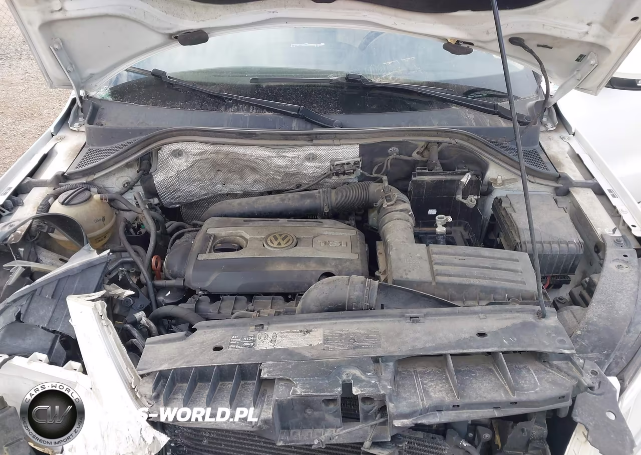 2011 Volkswagen Tiguan Se VIN:WVGAV7AX6BW513761 - 10