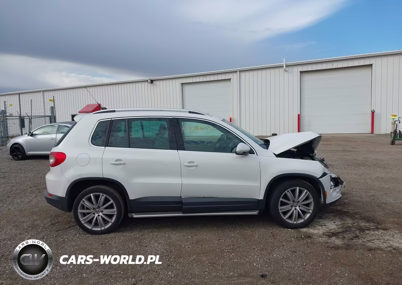 2011 Volkswagen Tiguan Se VIN:WVGAV7AX6BW513761 - 12