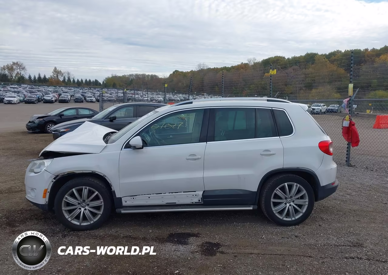 2011 Volkswagen Tiguan Se VIN:WVGAV7AX6BW513761 - 13
