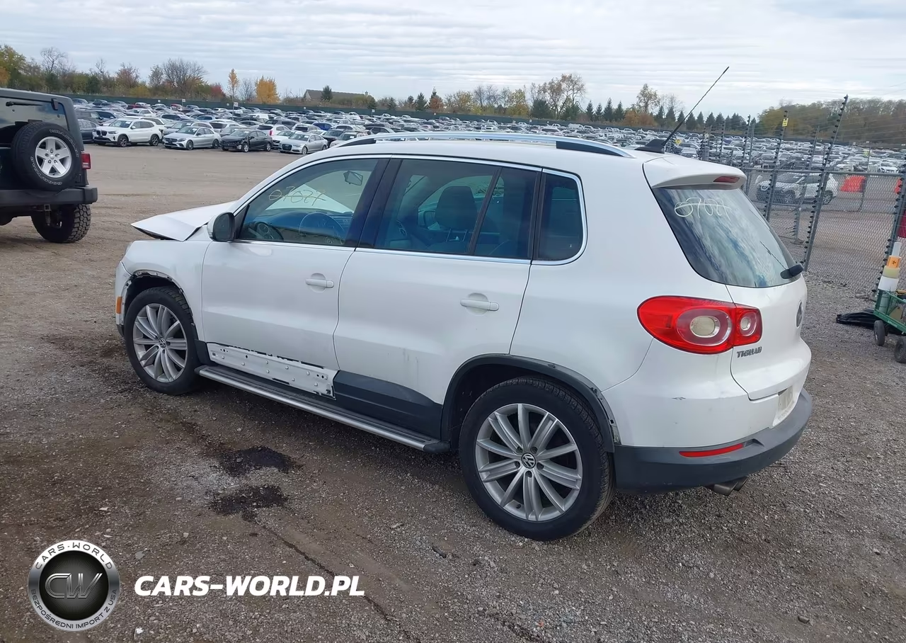 2011 Volkswagen Tiguan Se VIN:WVGAV7AX6BW513761 - 3