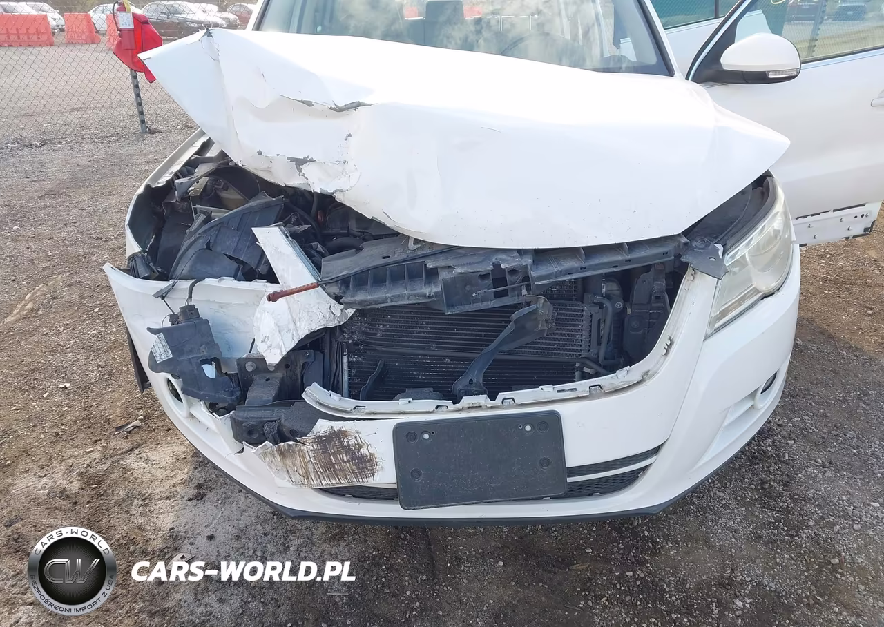 2011 Volkswagen Tiguan Se VIN:WVGAV7AX6BW513761 - 6