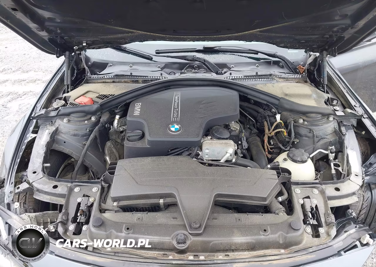 2014 BMW 320I xDrive VIN:WBA3C3G53ENS67230 - 10