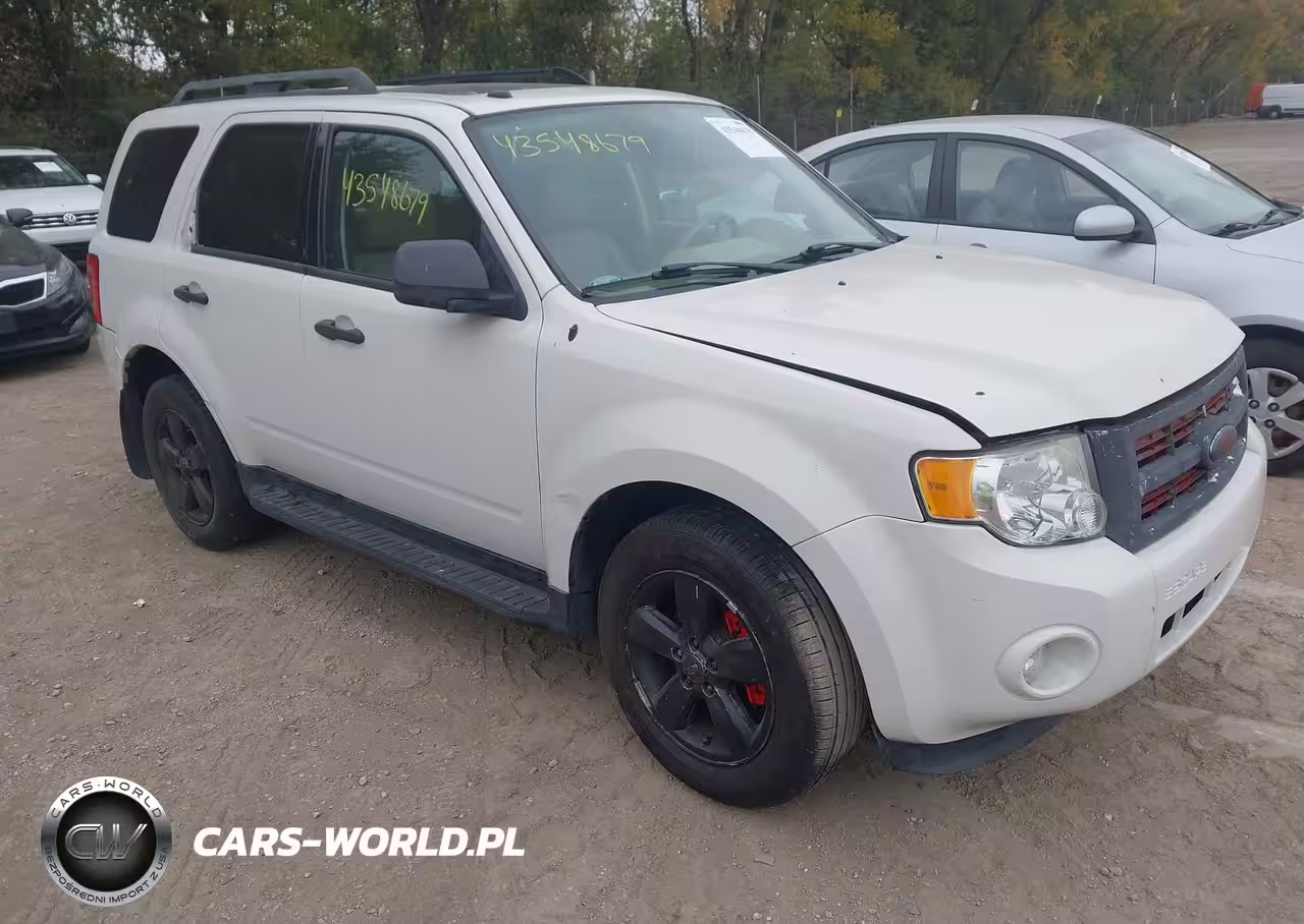 2011 Ford Escape Xlt