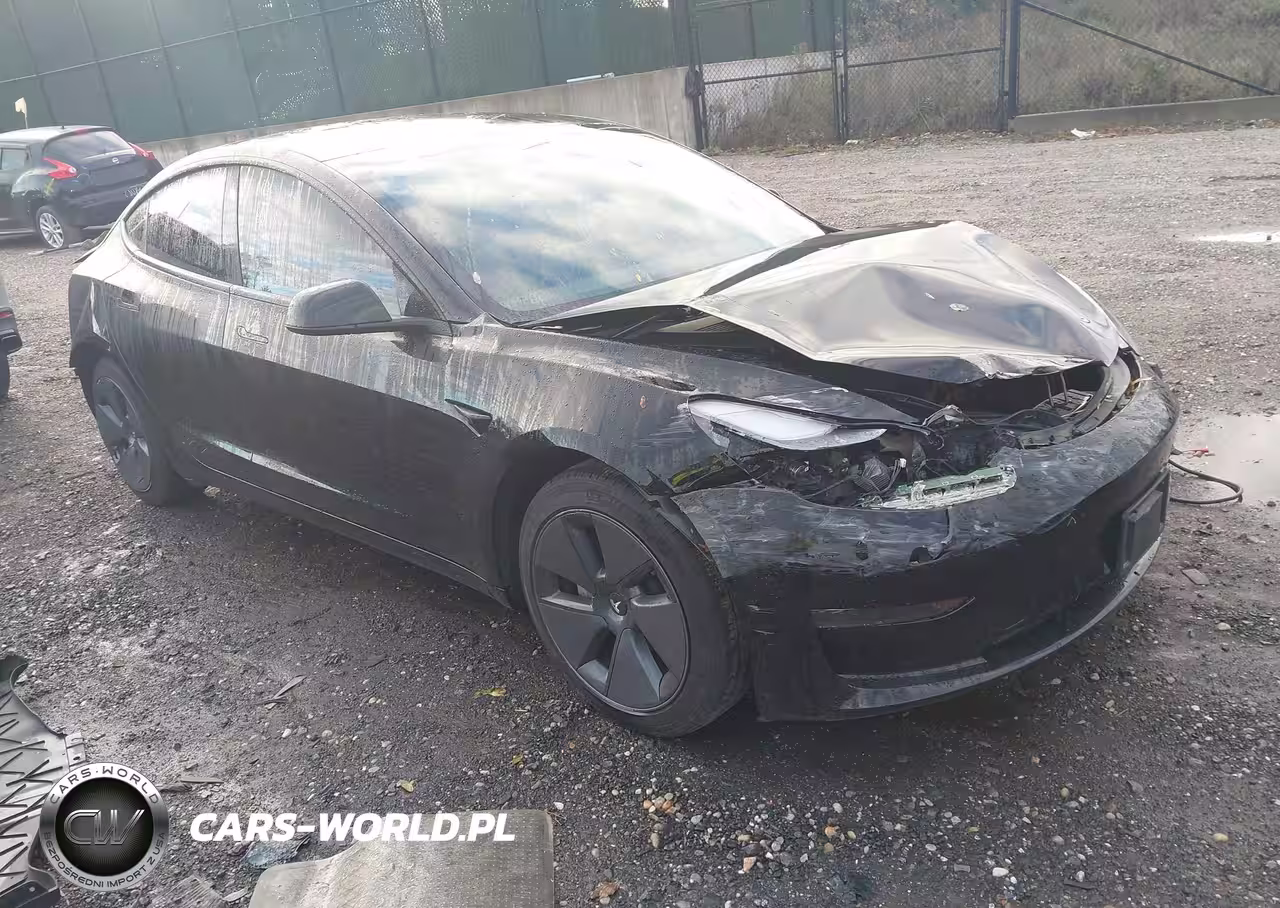 2023 Tesla Model 3 Rear-Wheel Drive