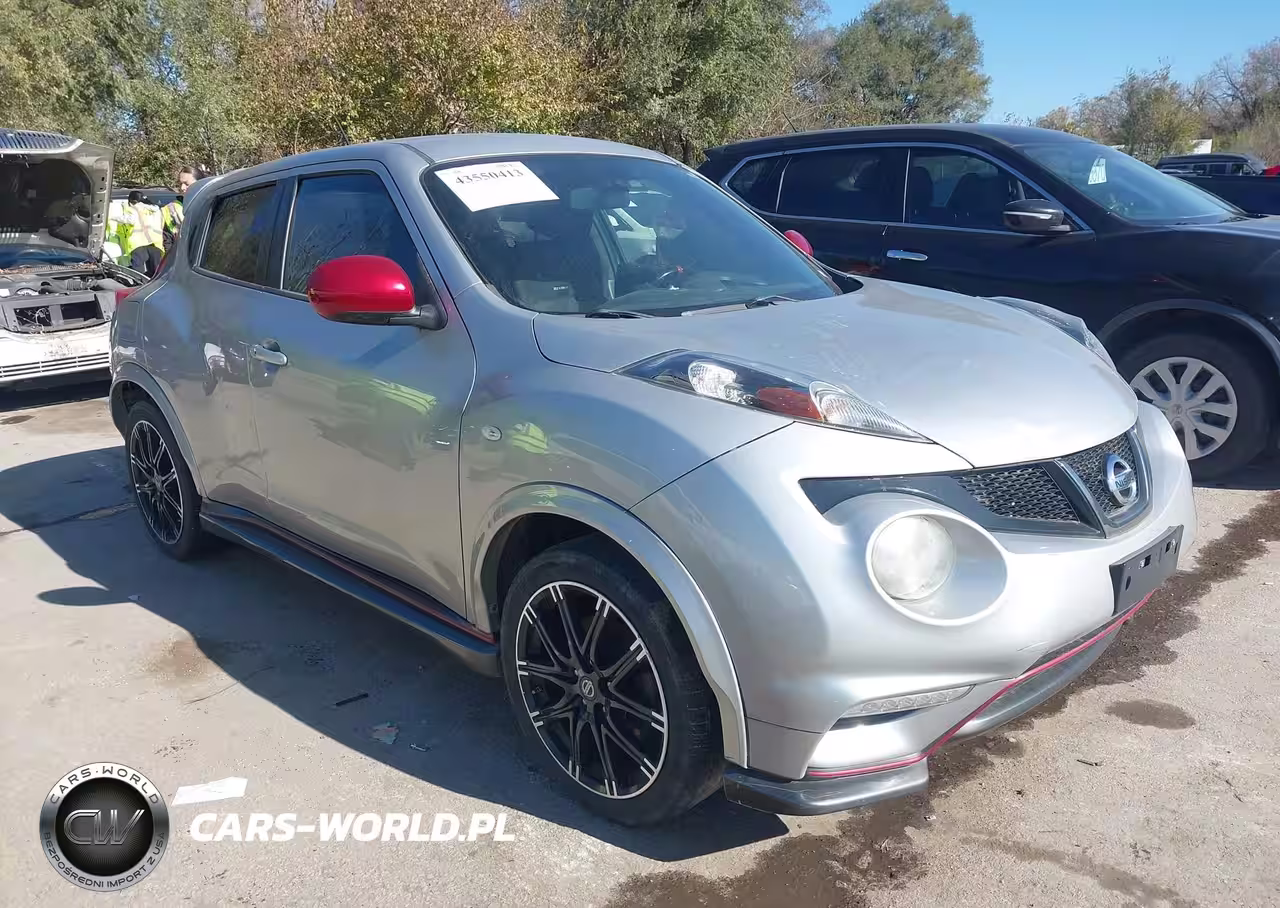 2013 Nissan Juke Nismo