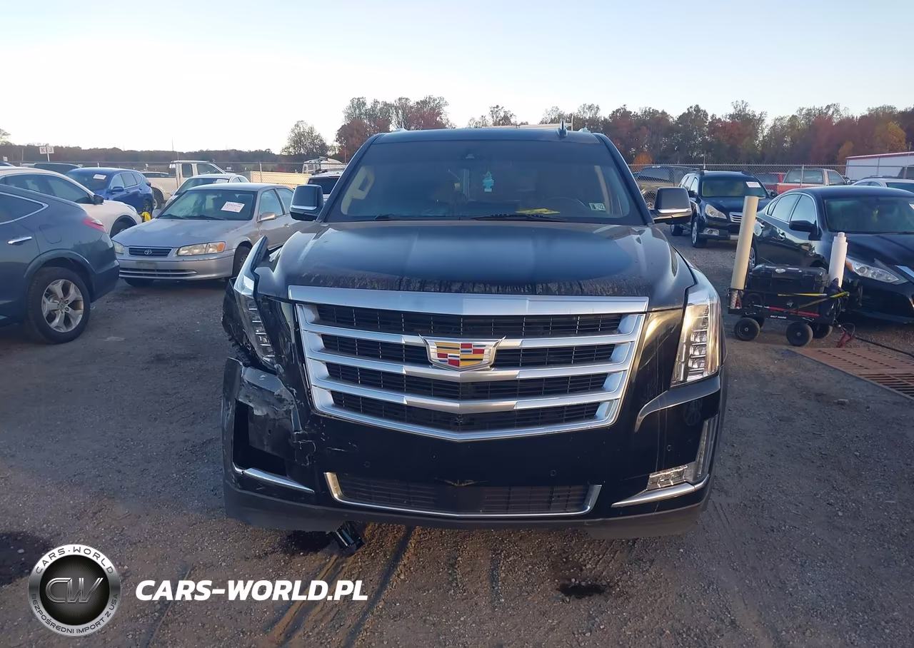 2016 Cadillac Escalade Luxury Collection VIN:1GYS3BKJ7GR332700 - 12