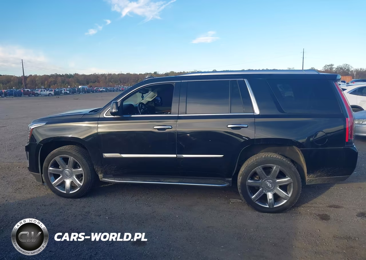 2016 Cadillac Escalade Luxury Collection VIN:1GYS3BKJ7GR332700 - 14