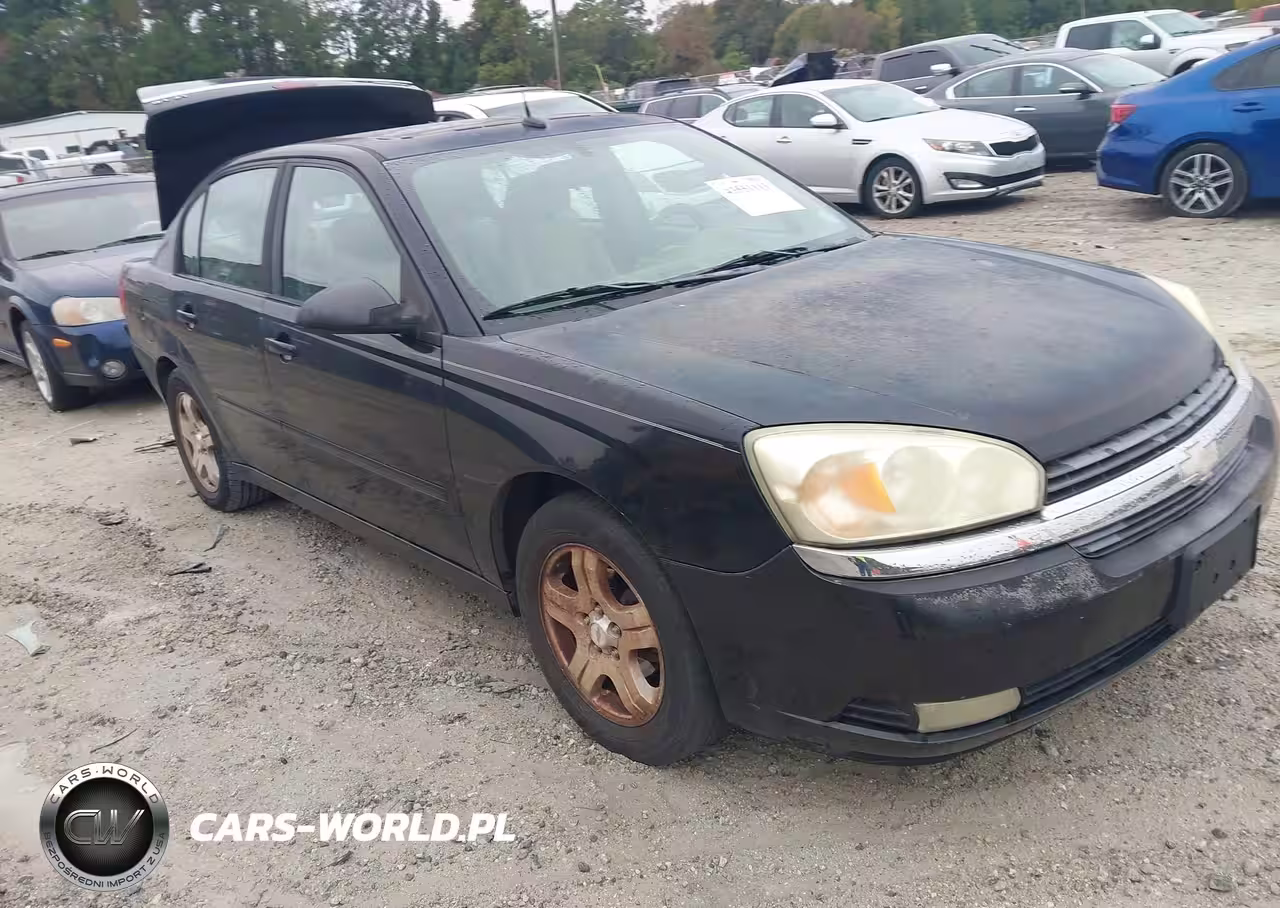 2004 Chevrolet Malibu Lt
