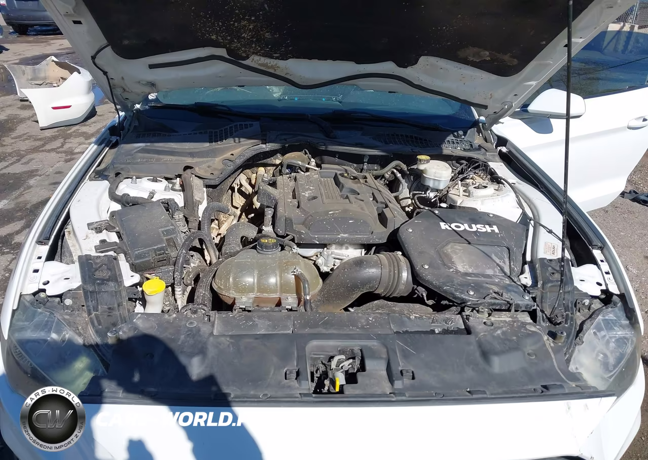 2019 Ford Mustang Ecoboost VIN:1FA6P8TH4K5143843 - 10
