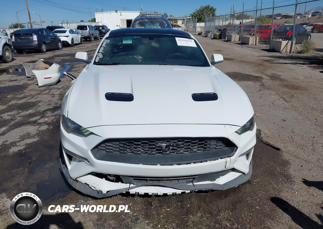 2019 Ford Mustang Ecoboost VIN:1FA6P8TH4K5143843 - 13