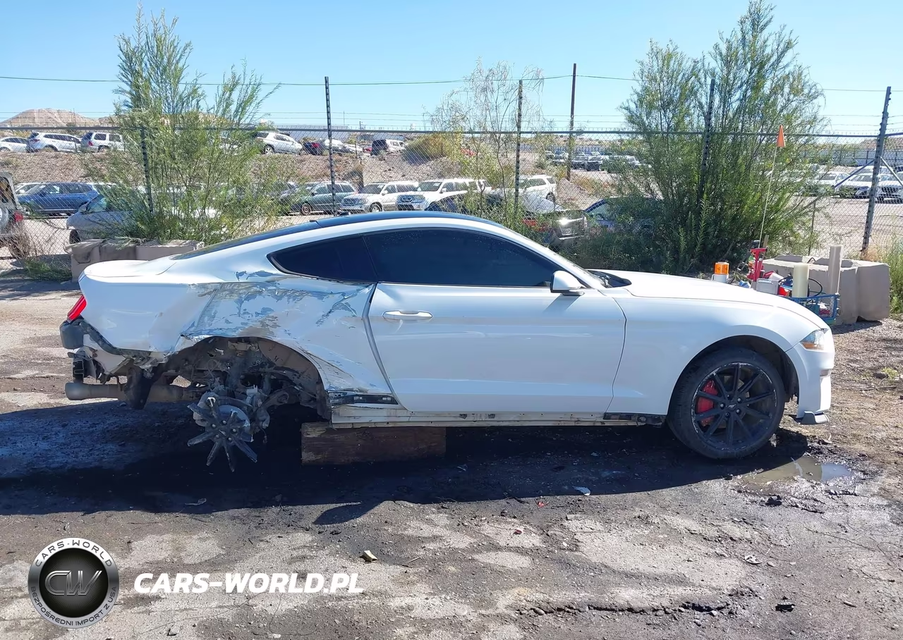 2019 Ford Mustang Ecoboost VIN:1FA6P8TH4K5143843 - 14