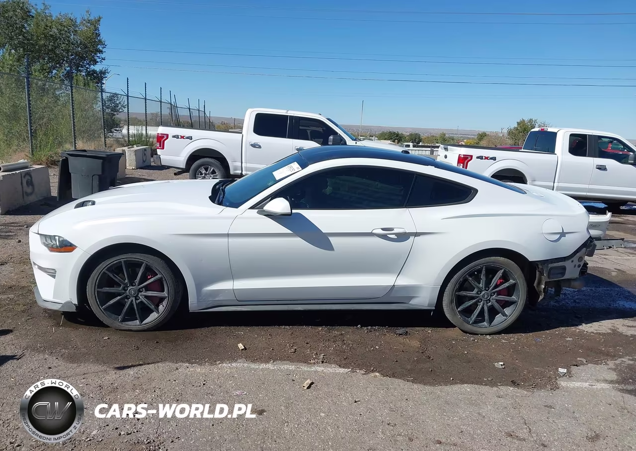 2019 Ford Mustang Ecoboost VIN:1FA6P8TH4K5143843 - 15