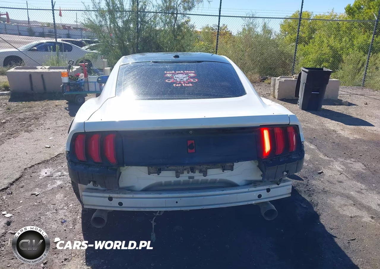 2019 Ford Mustang Ecoboost VIN:1FA6P8TH4K5143843 - 17