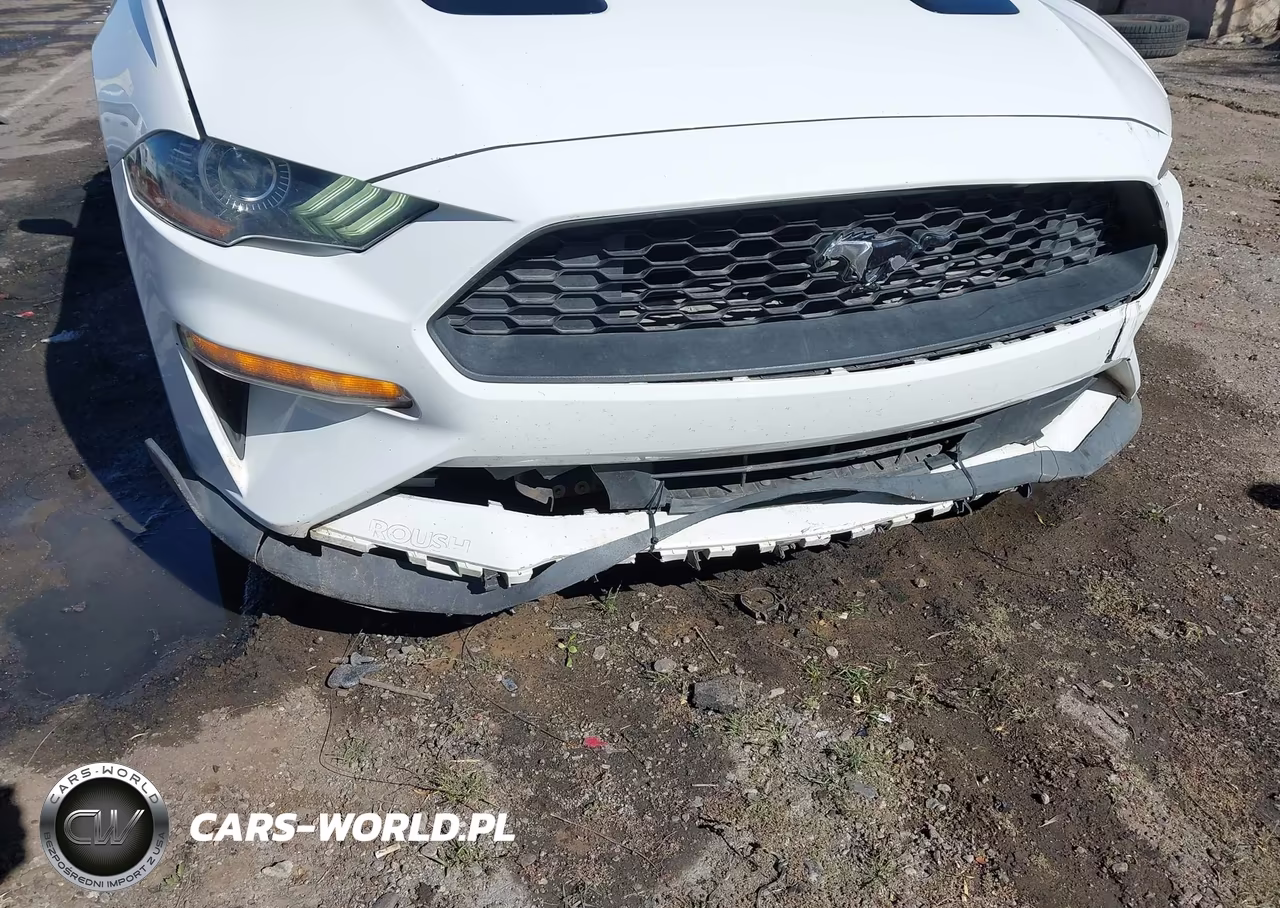 2019 Ford Mustang Ecoboost VIN:1FA6P8TH4K5143843 - 18