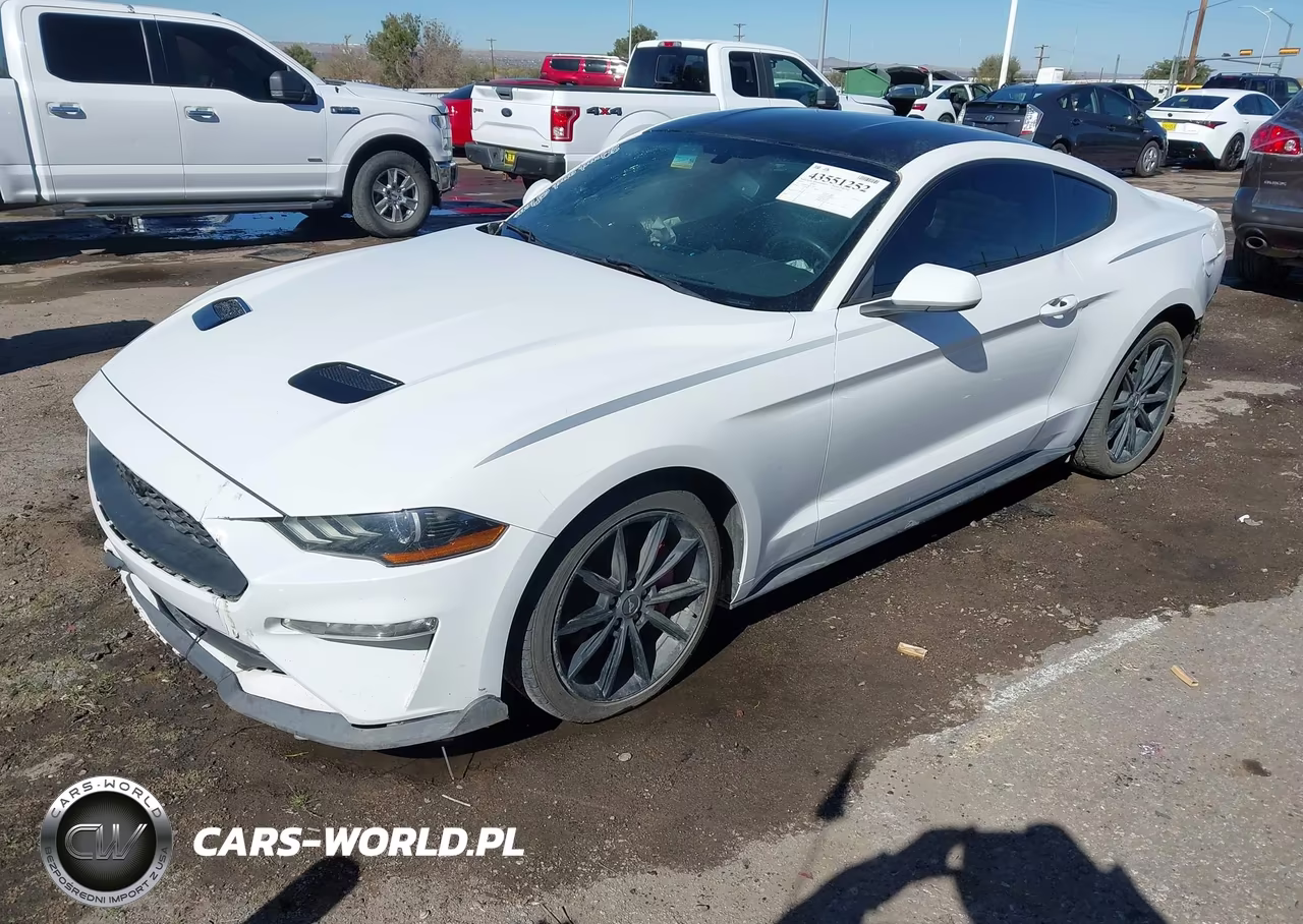 2019 Ford Mustang Ecoboost VIN:1FA6P8TH4K5143843 - 2
