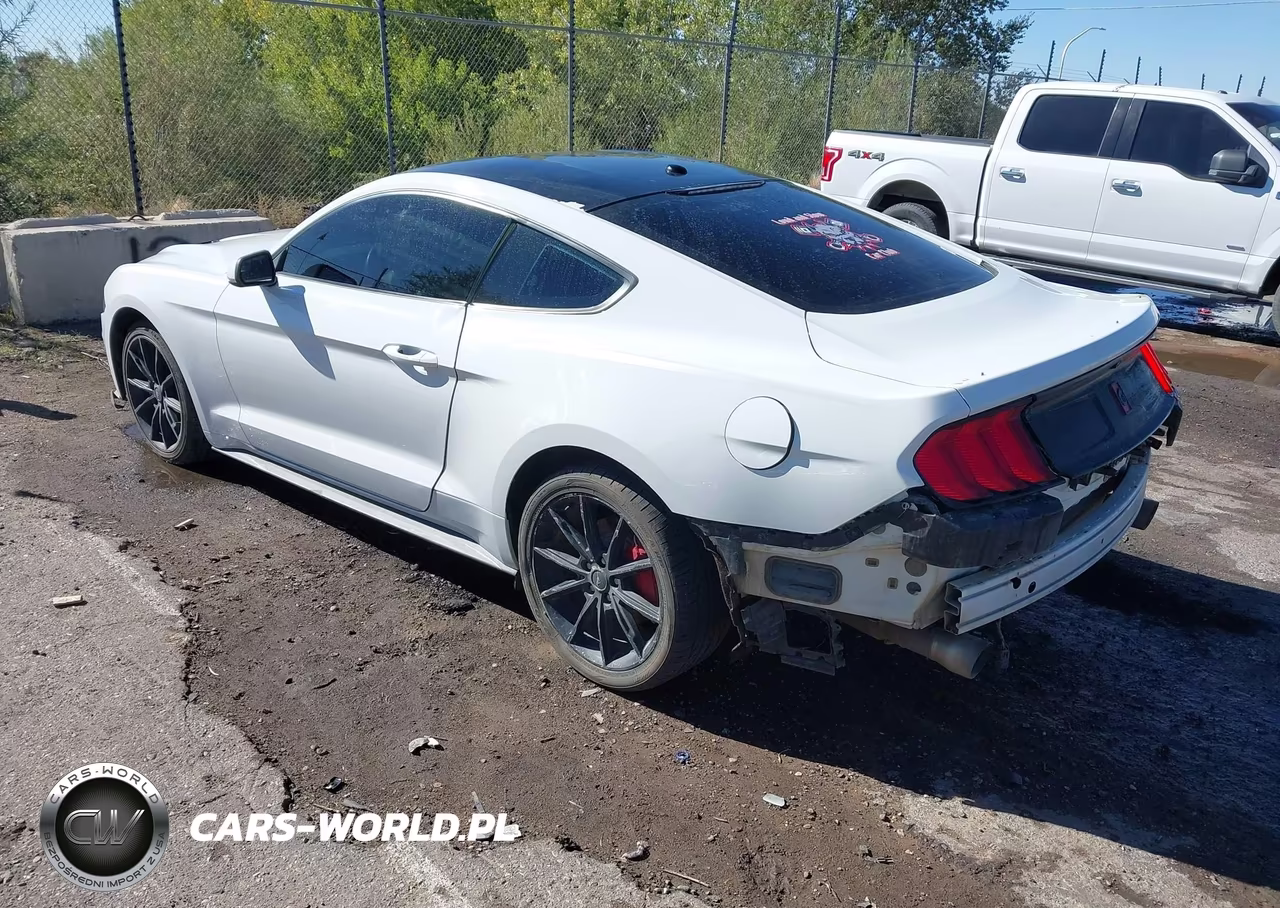 2019 Ford Mustang Ecoboost VIN:1FA6P8TH4K5143843 - 3