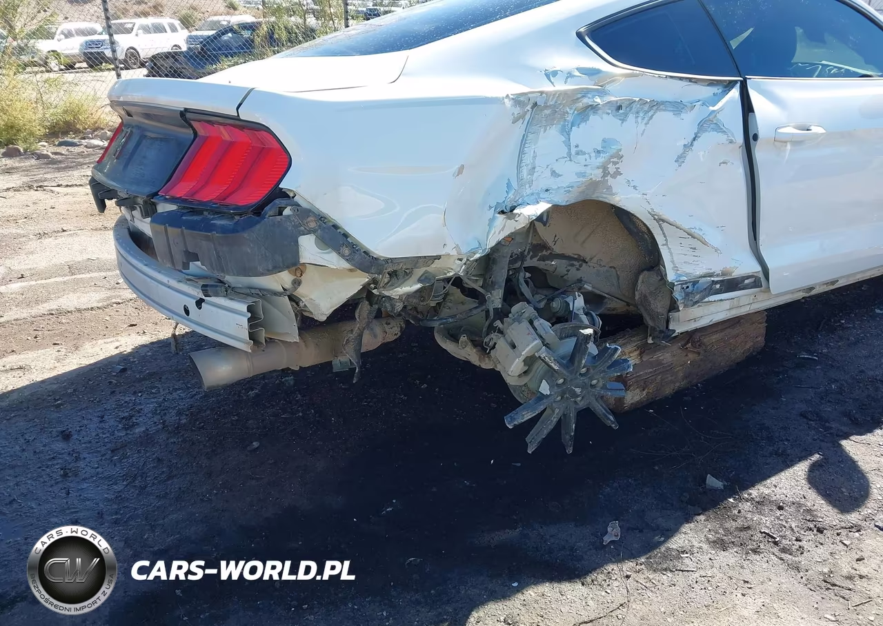 2019 Ford Mustang Ecoboost VIN:1FA6P8TH4K5143843 - 6
