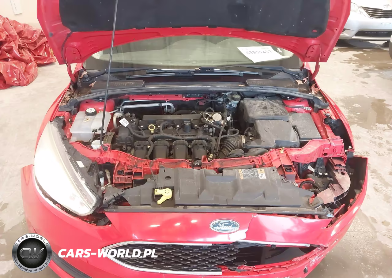 2016 Ford Focus Se VIN:1FADP3F21GL348380 - 10