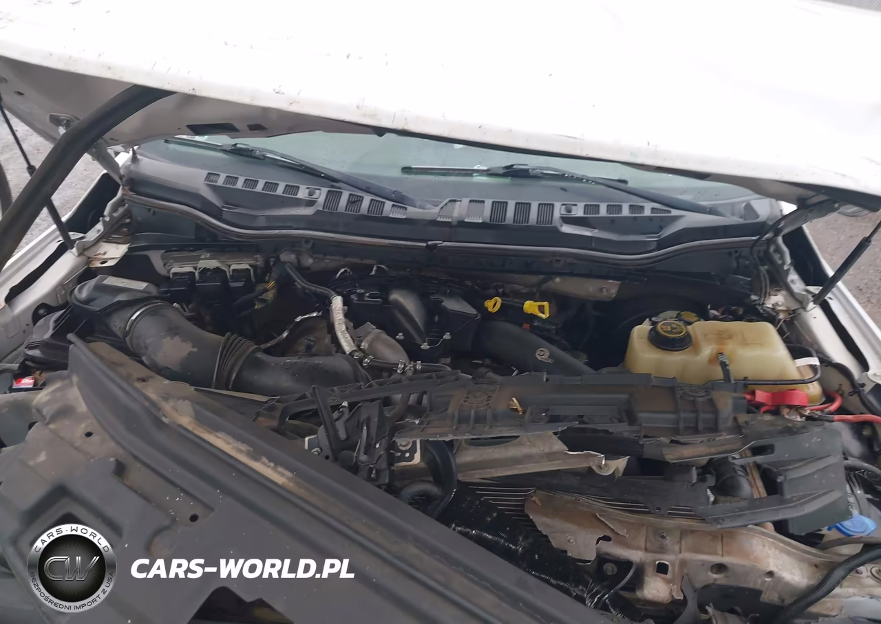 2019 Ford F-250 Xl VIN:1FT7W2BT6KED10580 - 10