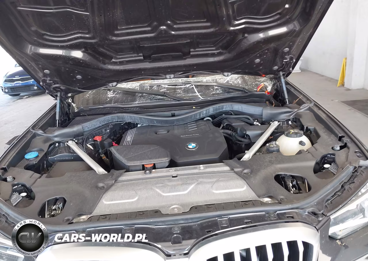 2023 BMW X3 xDrive30I VIN:5UX53DP0XP9R51014 - 10