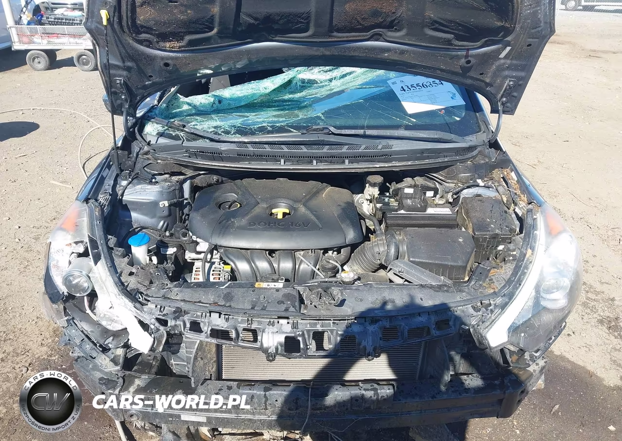 2016 Kia Forte Lx VIN:KNAFK4A66G5563482 - 10
