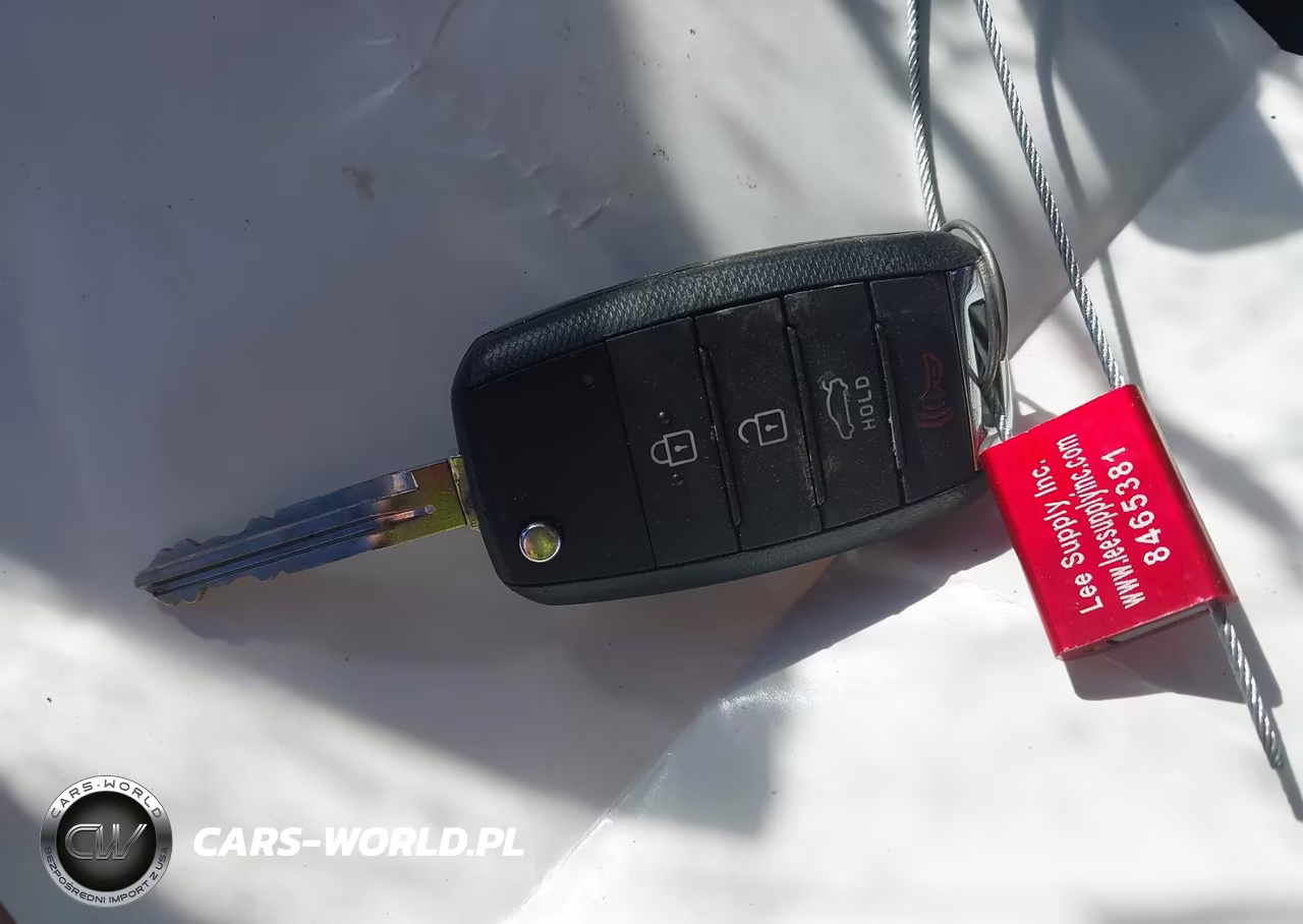 2016 Kia Forte Lx VIN:KNAFK4A66G5563482 - 11