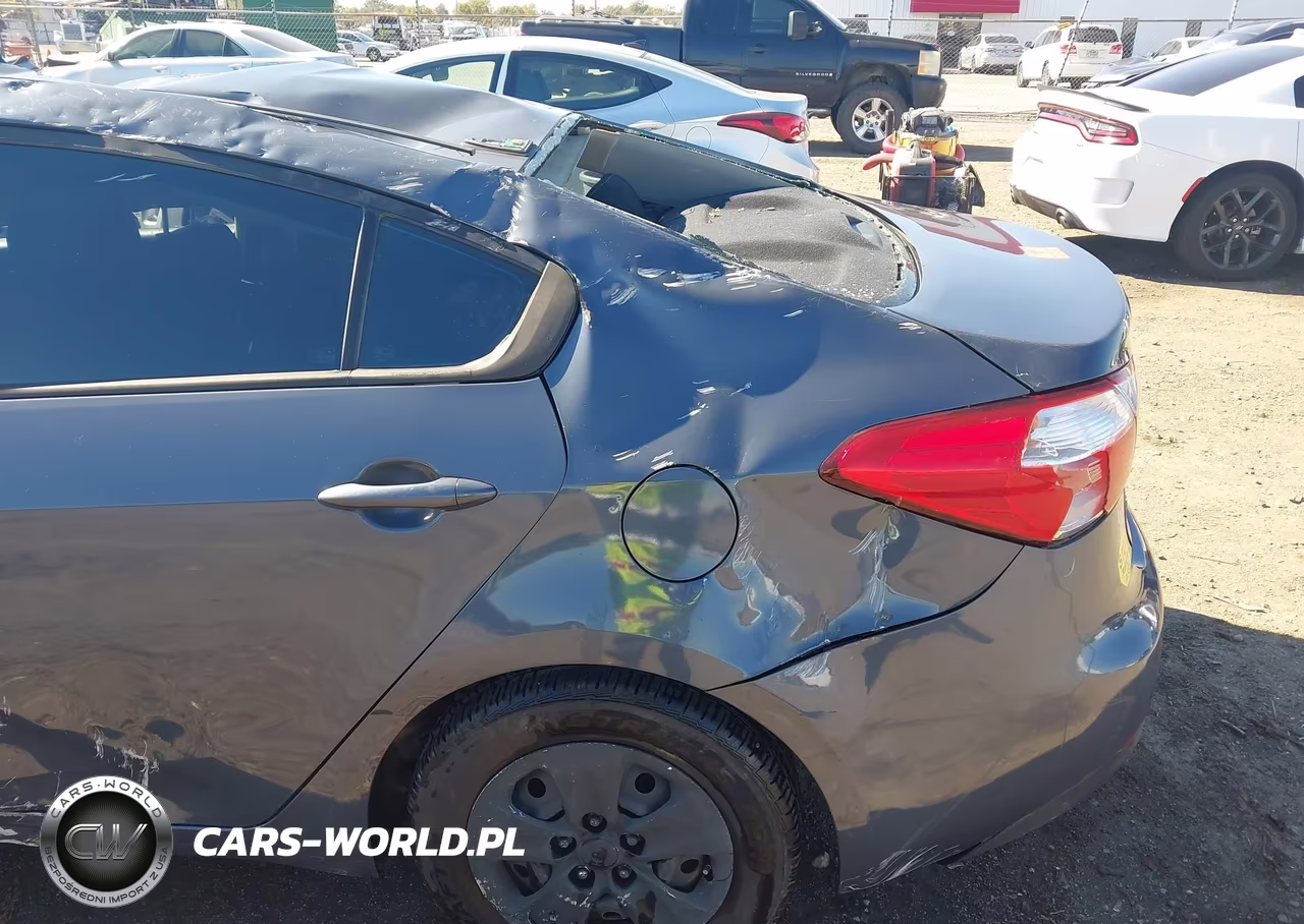 2016 Kia Forte Lx VIN:KNAFK4A66G5563482 - 13