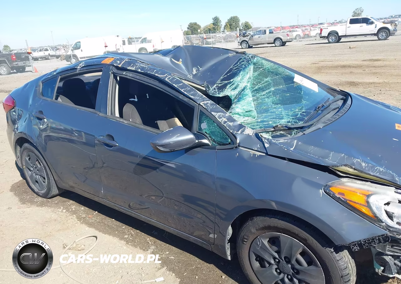 2016 Kia Forte Lx VIN:KNAFK4A66G5563482 - 14