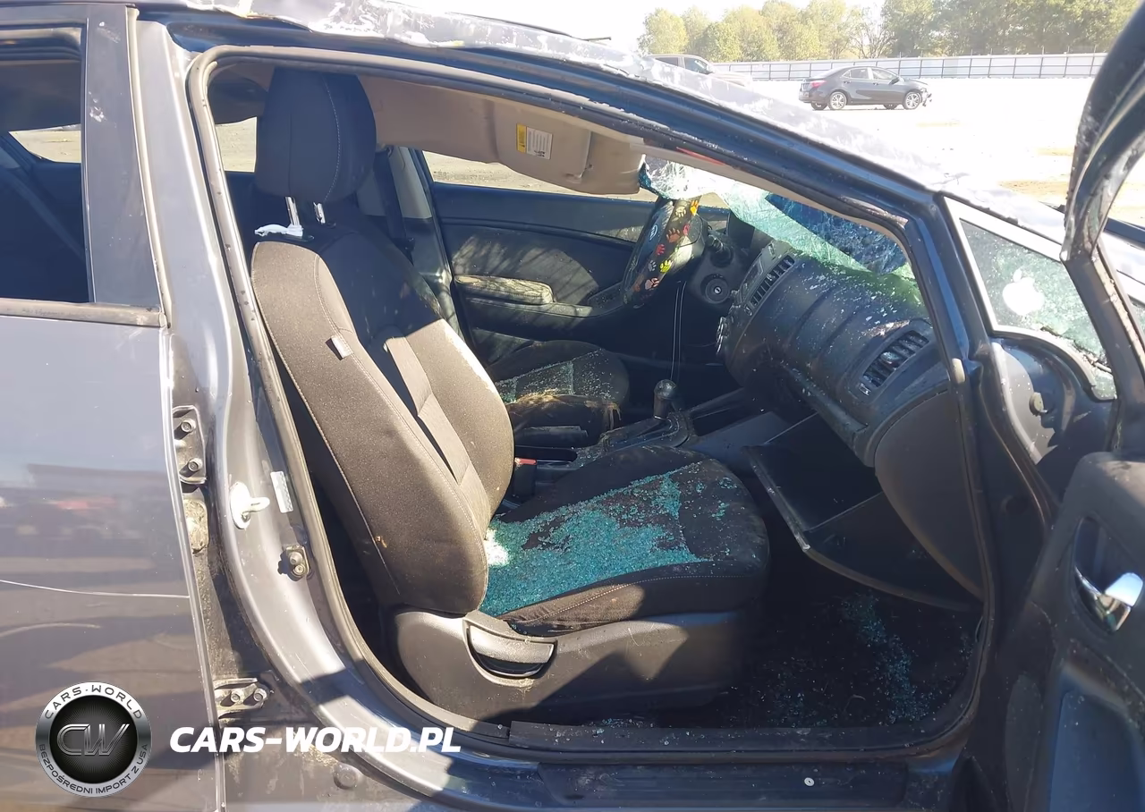 2016 Kia Forte Lx VIN:KNAFK4A66G5563482 - 5