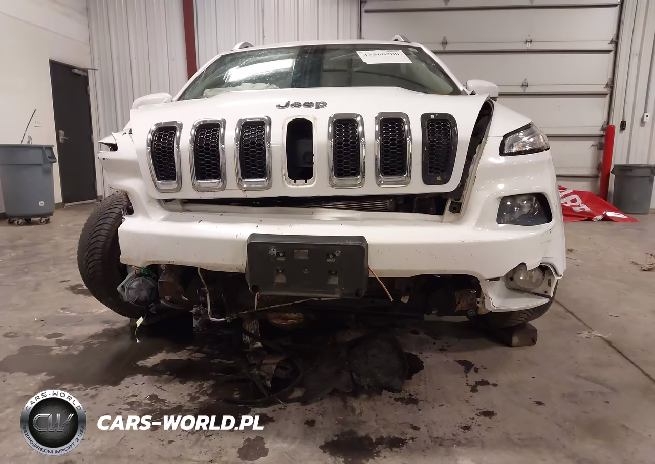 2015 Jeep Cherokee Limited VIN:1C4PJMDS9FW717646 - 20