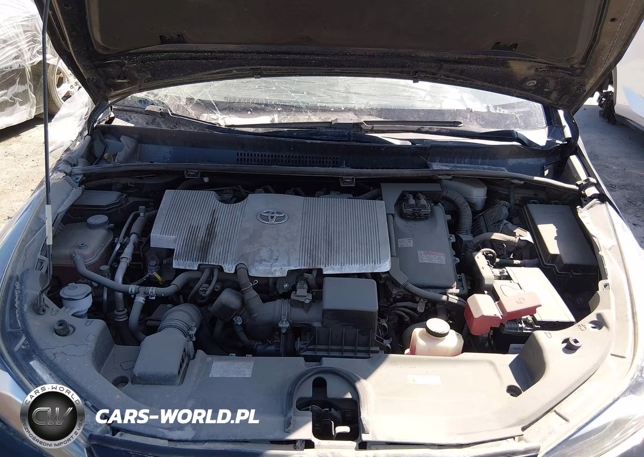 2019 Toyota Prius Xle VIN:JTDKARFU9K3074619 - 10