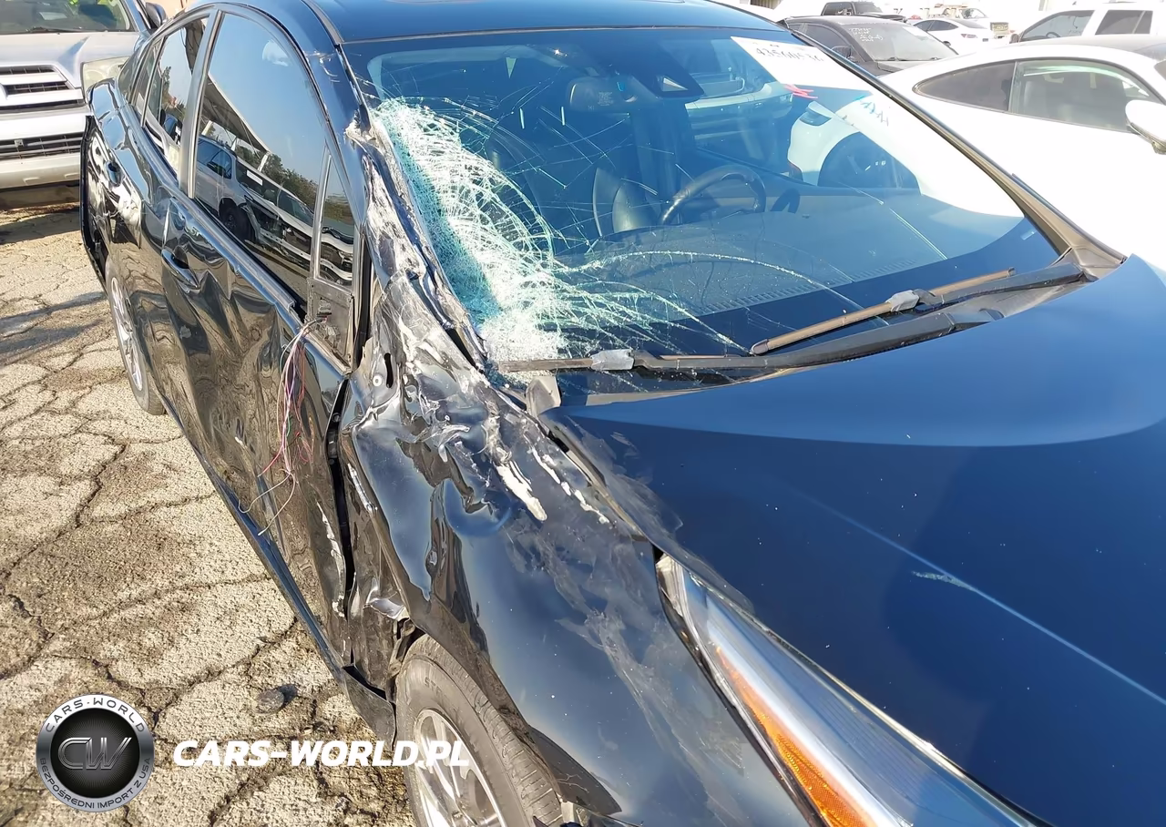 2019 Toyota Prius Xle VIN:JTDKARFU9K3074619 - 21