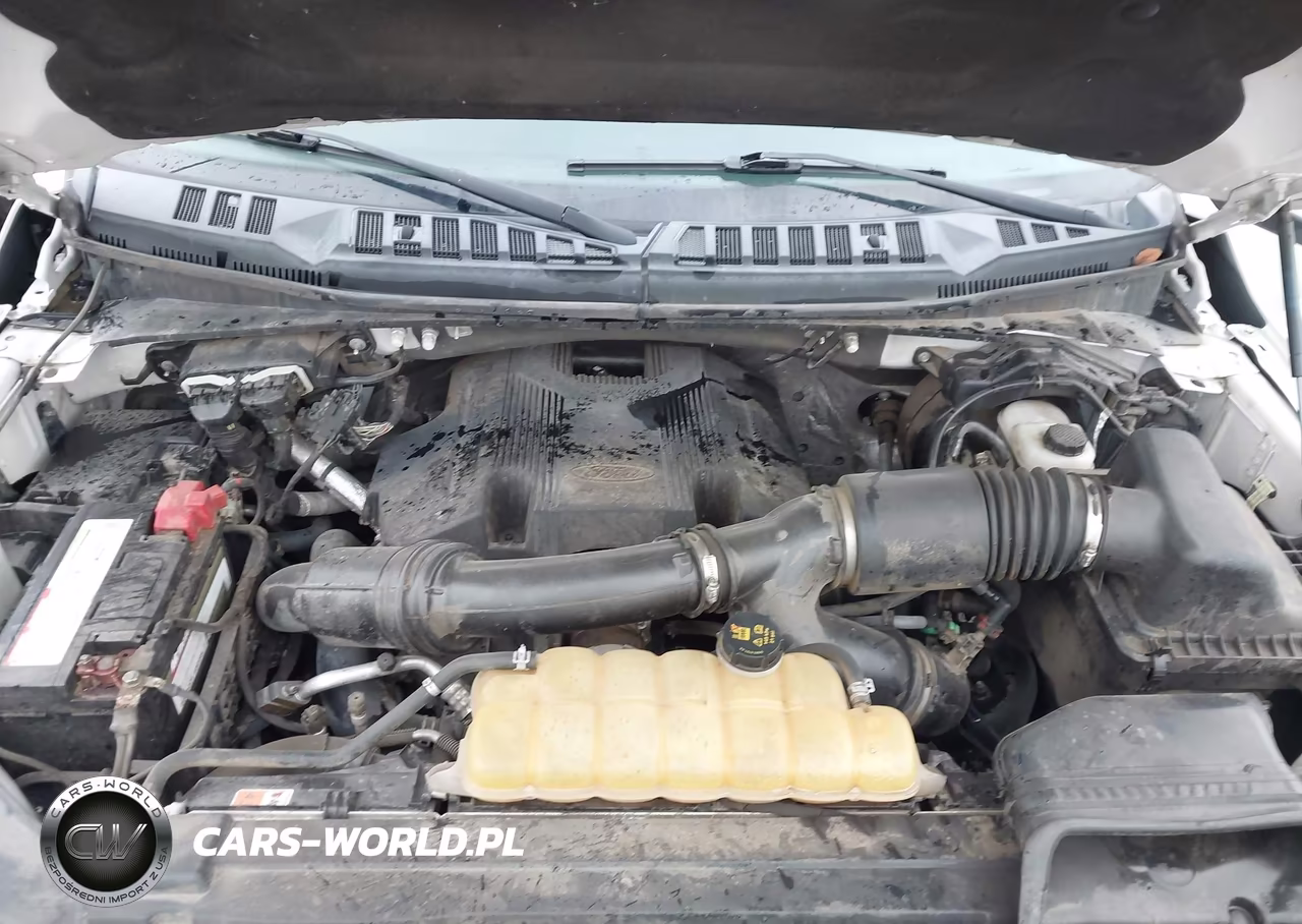 2017 Ford F-150 Limited VIN:1FTEW1EG8HFB51922 - 10