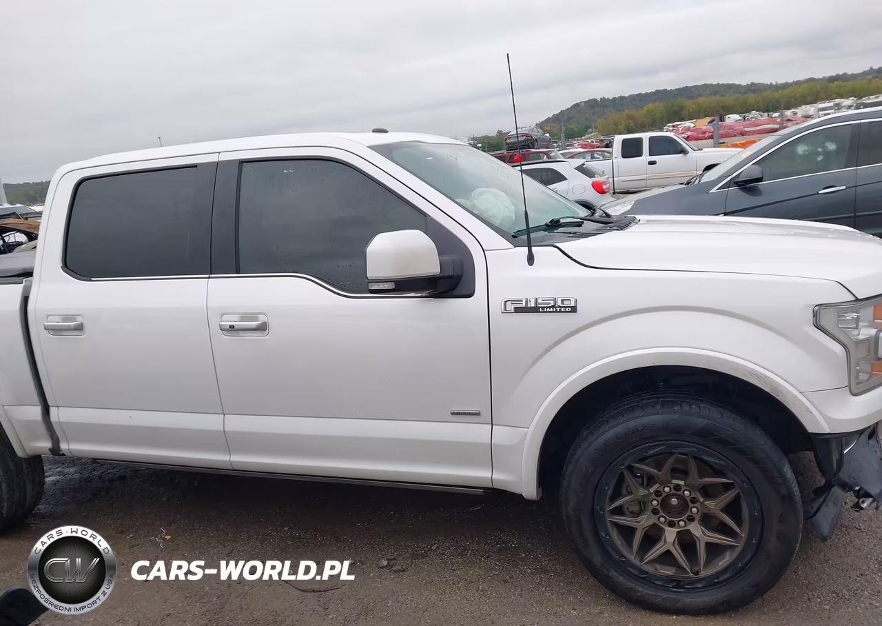 2017 Ford F-150 Limited VIN:1FTEW1EG8HFB51922 - 13