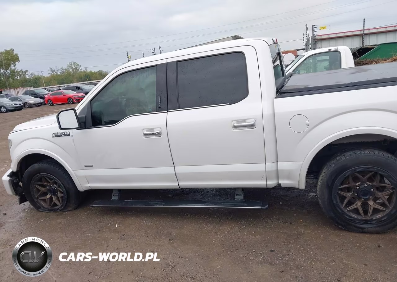 2017 Ford F-150 Limited VIN:1FTEW1EG8HFB51922 - 14