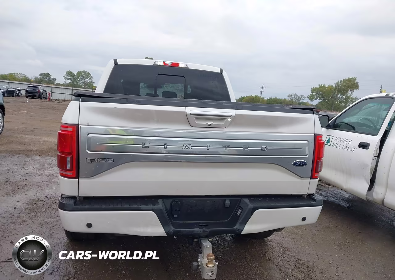 2017 Ford F-150 Limited VIN:1FTEW1EG8HFB51922 - 16