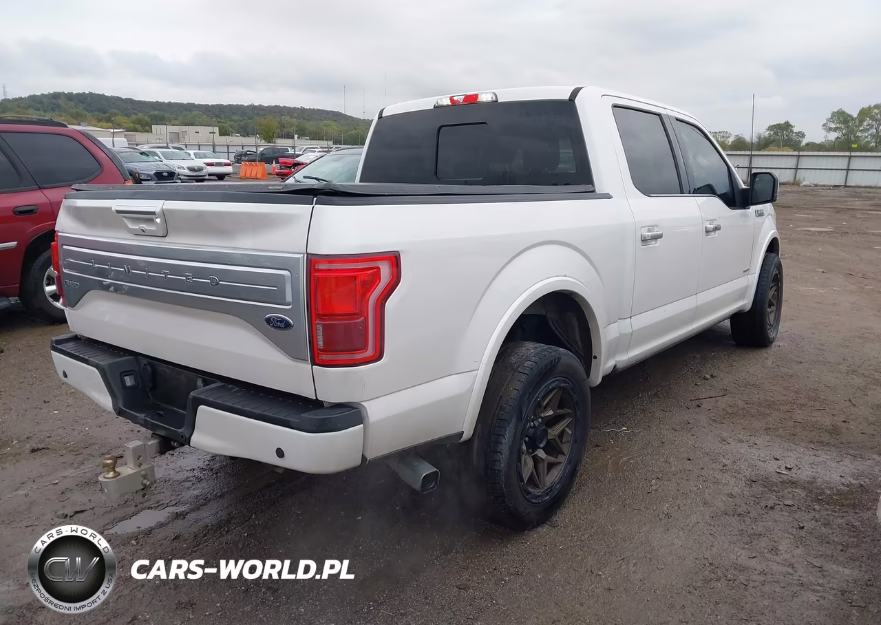 2017 Ford F-150 Limited VIN:1FTEW1EG8HFB51922 - 4
